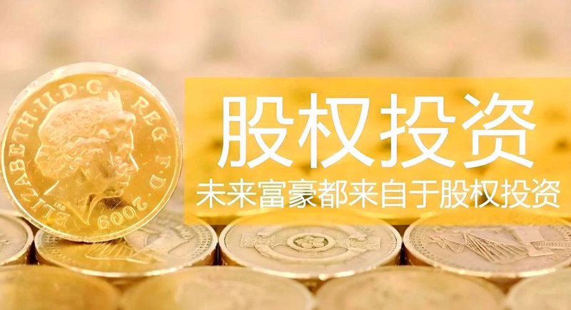 股权投资风云变幻：资本市场的新宠